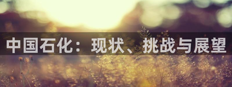 球盟会qmh
