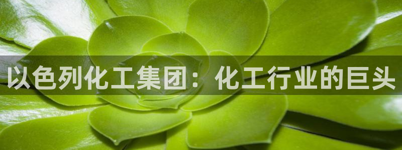 球盟会最新活动