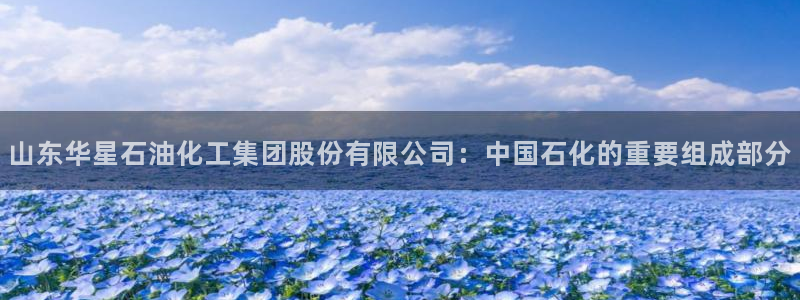 球盟会中国官方网站：山东华星石油化工集团股份有限公司：中国石