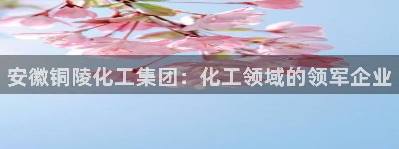 球盟会能退钱吗