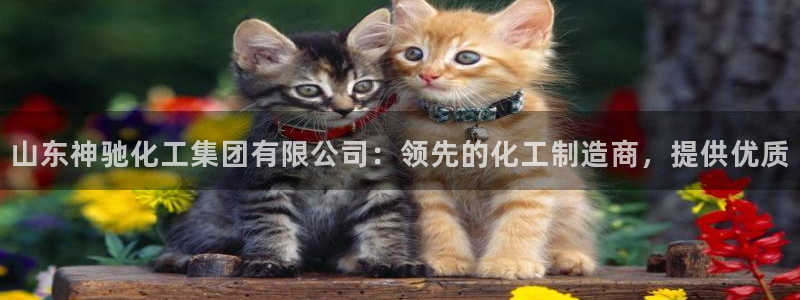 球盟会app最新地址下载安装：山东神驰化工集团有限公司：领先