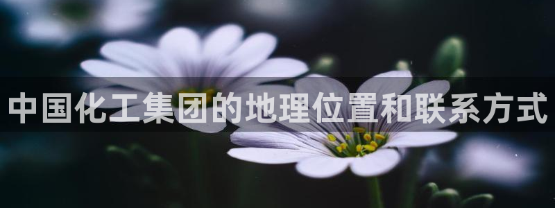 球盟会和中欧合作吗