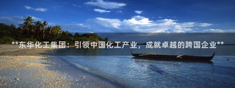 球盟会app最新地址下载：**东华化工集团：引领中国化工产业
