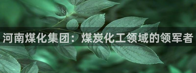 球盟会最新网