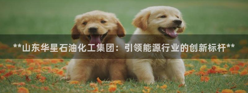 球盟会官方最新入口