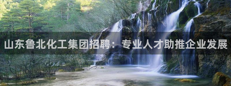 球盟会和中欧合作吗
