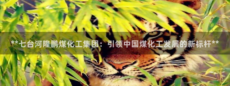 球盟会官方网址入口：**七台河隆鹏煤化工集团：引领中国煤化工