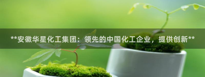 球盟会官网登录入口：**安徽华星化工集团：领先的中国化工企业