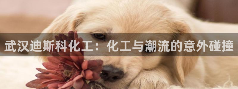 球盟会官方app首页入口