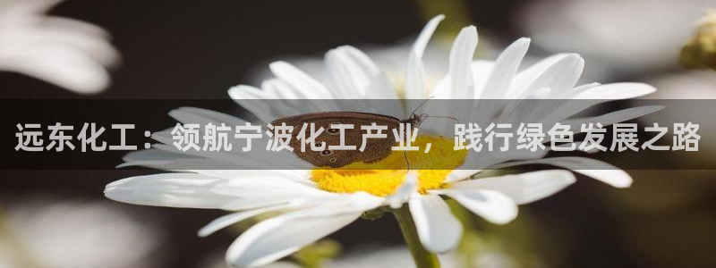 球盟会官网app下载