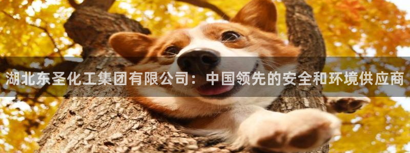 球盟会官方下载