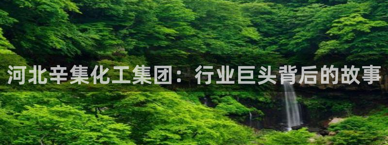 球盟会网址