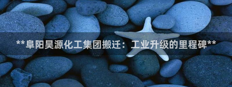 球盟会进不去球员吗：**阜阳昊源化工集团搬迁：工业升级的里程