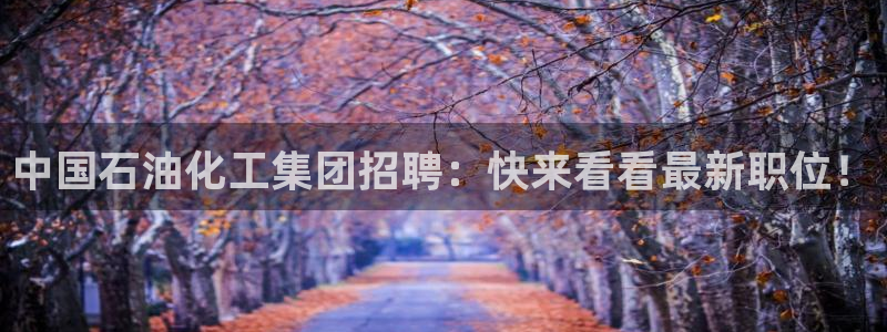 球盟会电子游戏平台