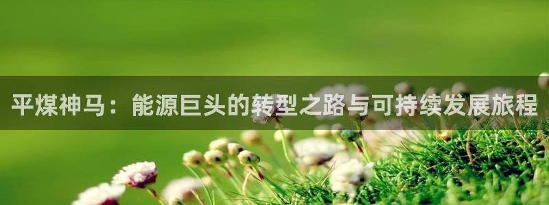球盟会在线登录