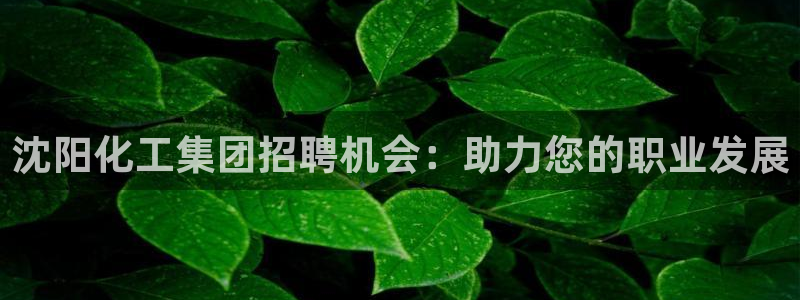 球盟会官方网入口
