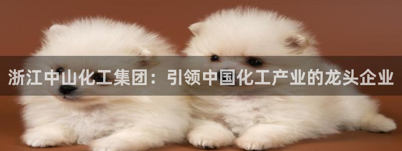球盟会国际官网：浙江中山化工集团：引领中国化工产业的龙头企业