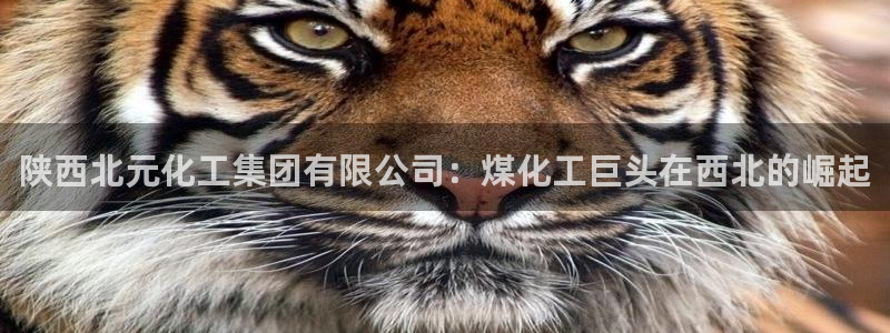 球盟会进不去：陕西北元化工集团有限公司：煤化工巨头在西北的崛