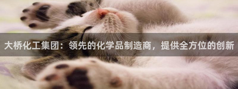 球盟会体验金：大桥化工集团：领先的化学品制造商，提供全方位的