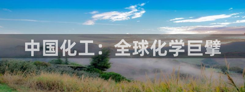 球盟会官方网址入口：中国化工：全球化学巨擘