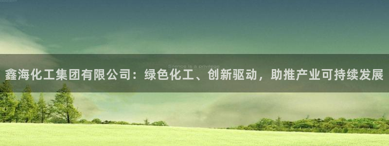 球盟会黑款吗知乎小说：鑫海化工集团有限公司：绿色化工、创新驱