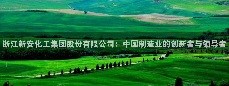 球盟会吧：浙江新安化工集团股份有限公司：中国制造业的创新者与