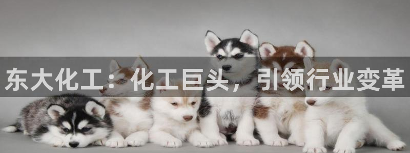 球盟会能提现吗安全吗