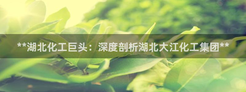 球盟会电子：**湖北化工巨头：深度剖析湖北大江化工集团**