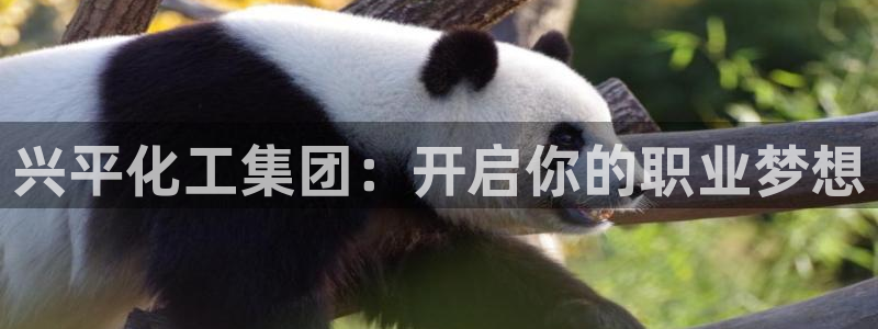 球盟会登陆中心