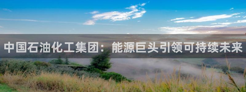球盟会游戏几点玩合适：中国石油化工集团：能源巨头引领可持续未