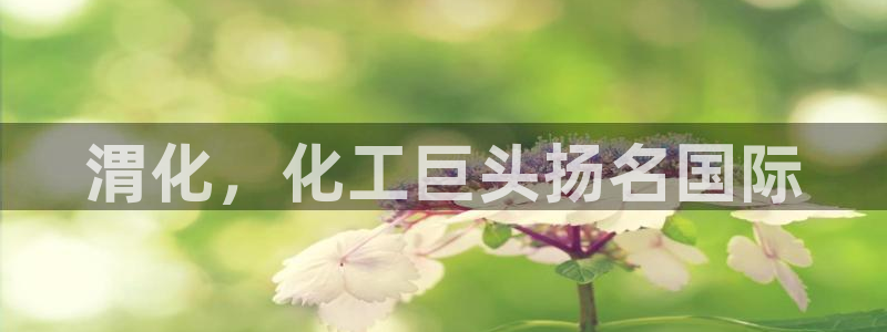 球盟会头号玩家是谁：渭化，化工巨头扬名国际