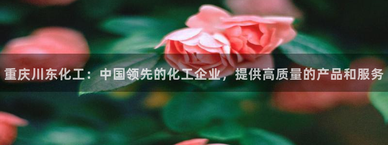 球盟会能提现吗：重庆川东化工：中国领先的化工企业，提供高质量