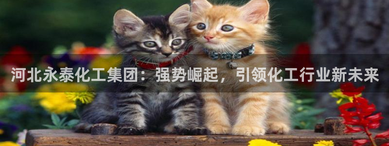 球盟会app最新地址在哪看