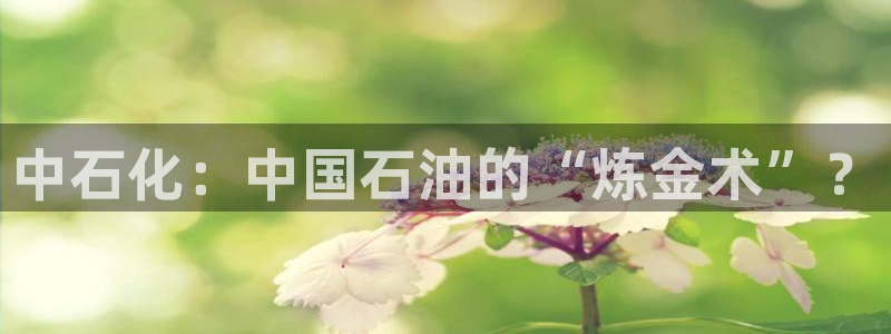 球盟会和中欧会的区别