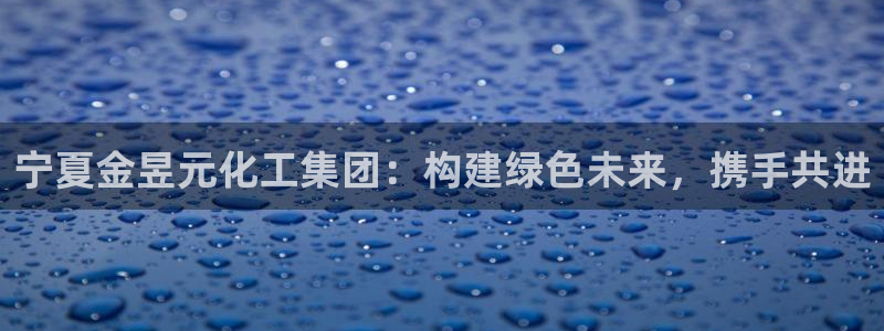 球盟会黑款吗知乎小说：宁夏金昱元化工集团