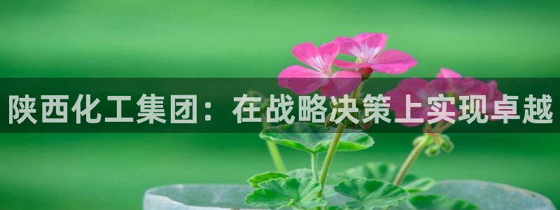 球盟会官方网站app