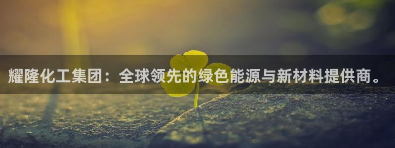 球盟会app网址多少：耀隆化工集团：全球领先的绿色能源与新材