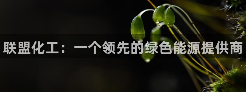 球盟会官方网站：联盟化工：一个领先的绿色能源提供商