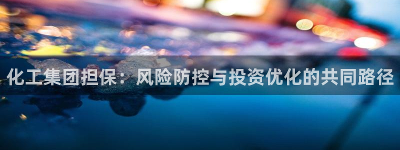 球盟会黑台子：化工集团担保：风险防控与投资优化的共同路径