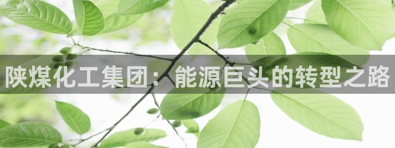 球盟会游戏
