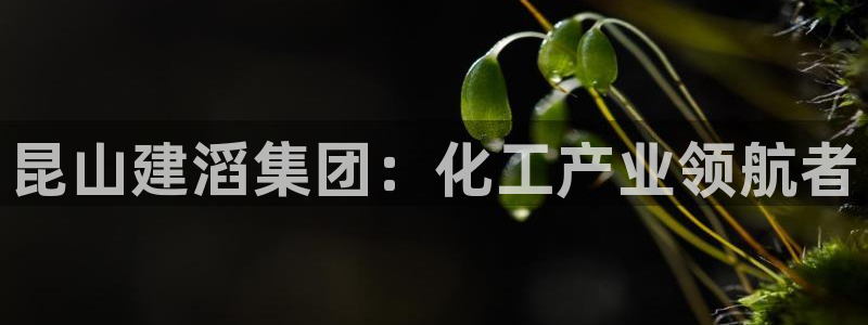 球盟会能提现吗安全吗