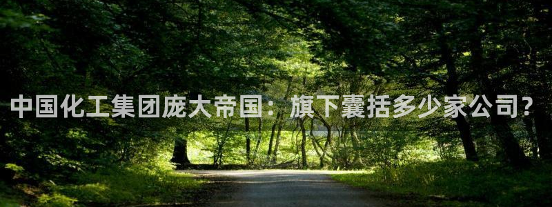 球盟会登陆入口