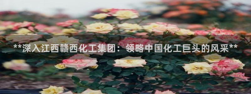 球盟会登陆中心