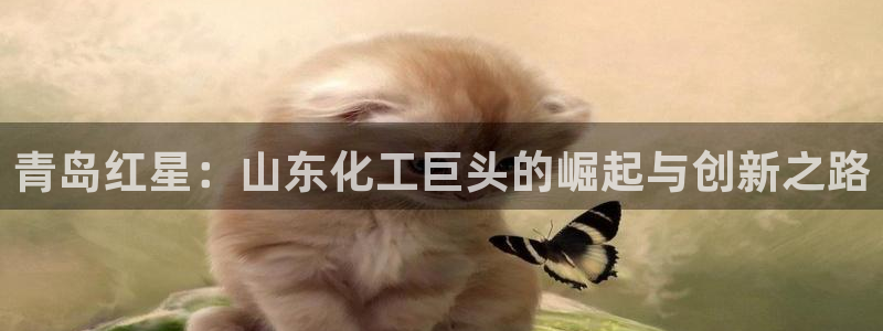 球盟会游戏