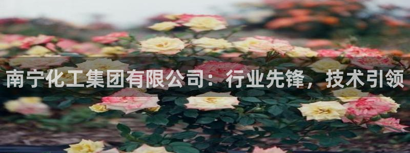 球盟会头号玩家