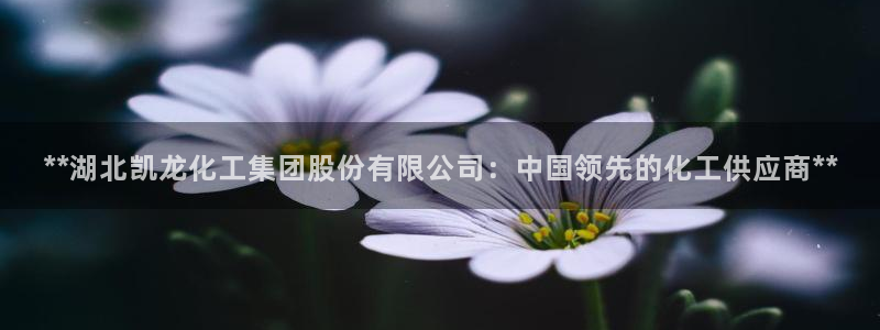 球盟会app网址多少