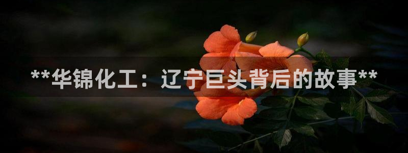 球盟会和中欧会的区别