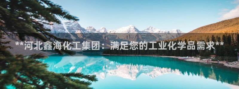 球盟会APP官网