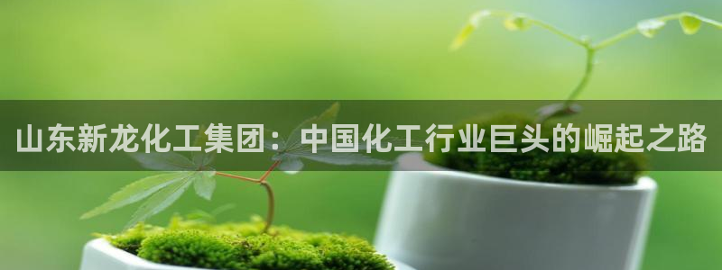 球盟会地址