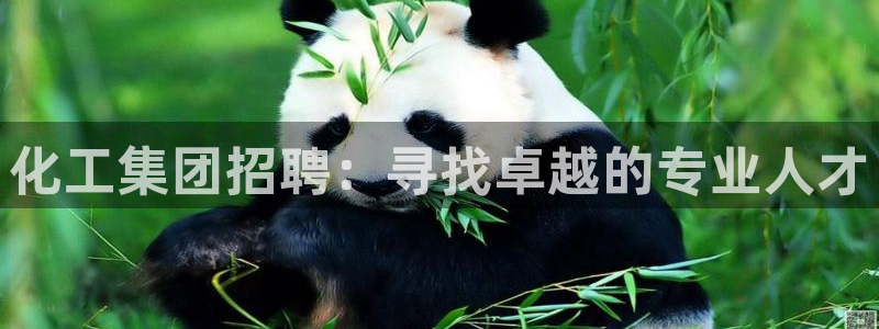 球盟会